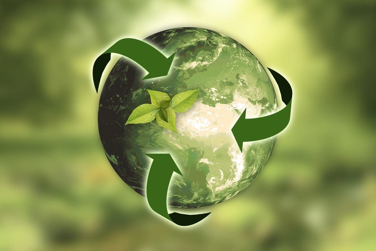 eCommerce Sustainability: How to Achieve It