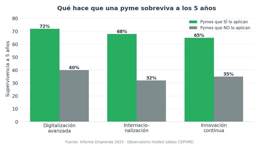 factores supervivencia pymes