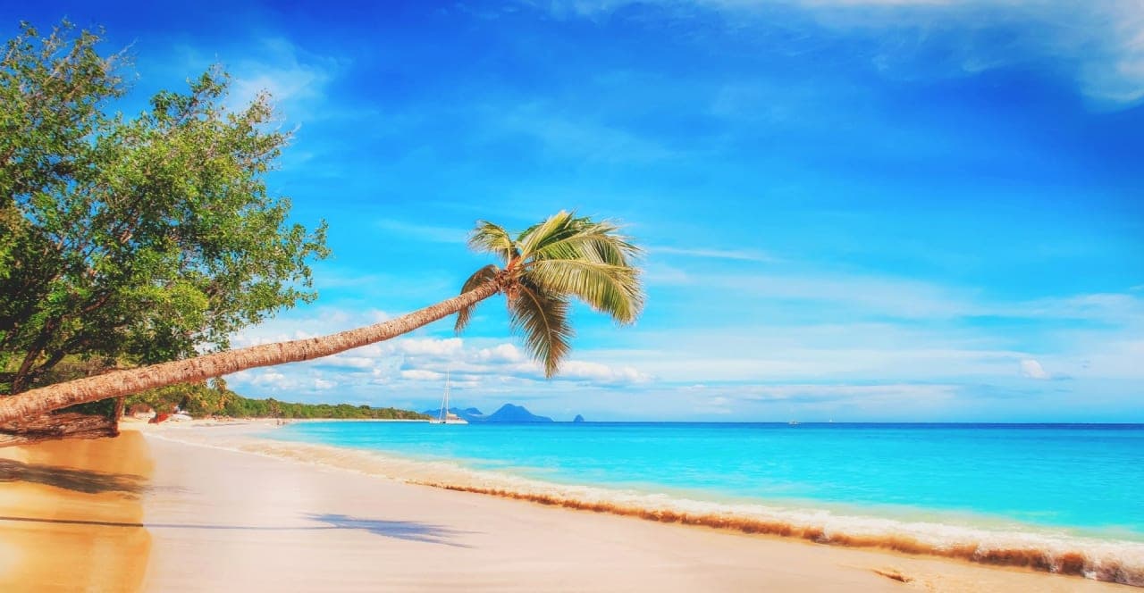 How to survive managing your team's vacations
