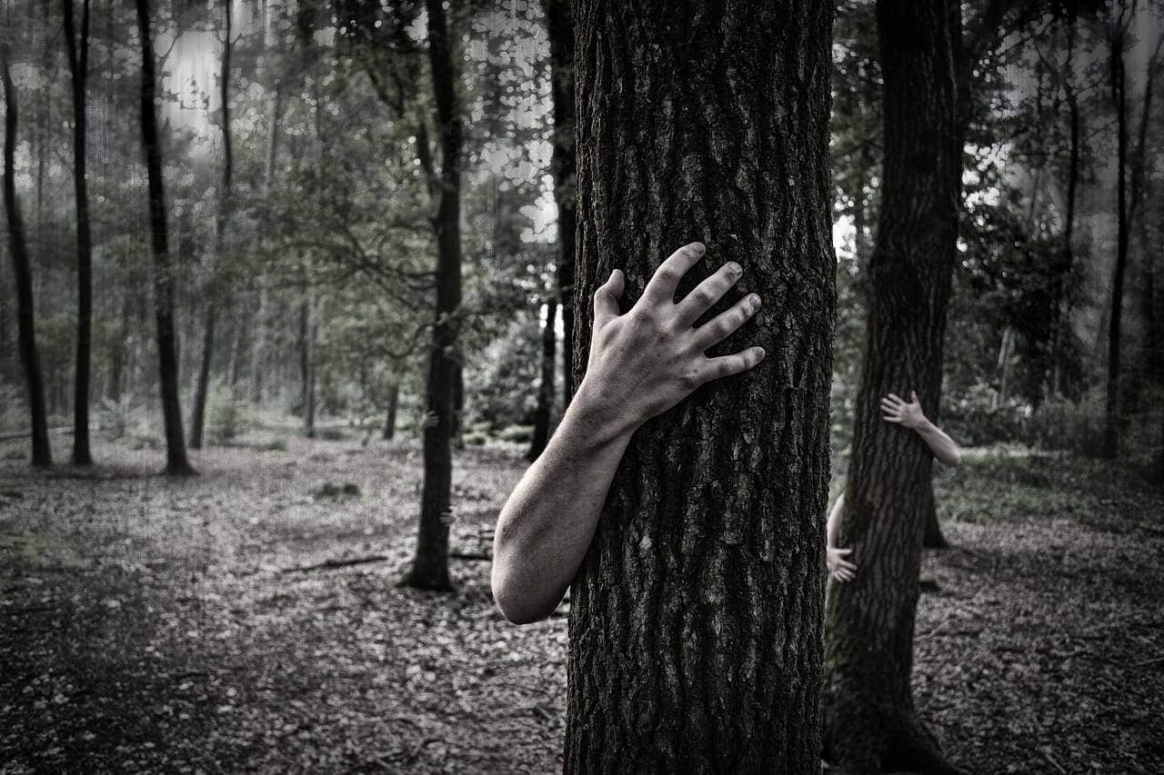 What is a Zombie Startup and What are the Signs