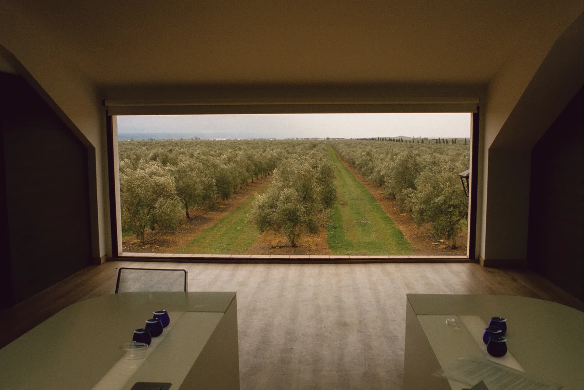 Almazara de Palacio de los Olivos