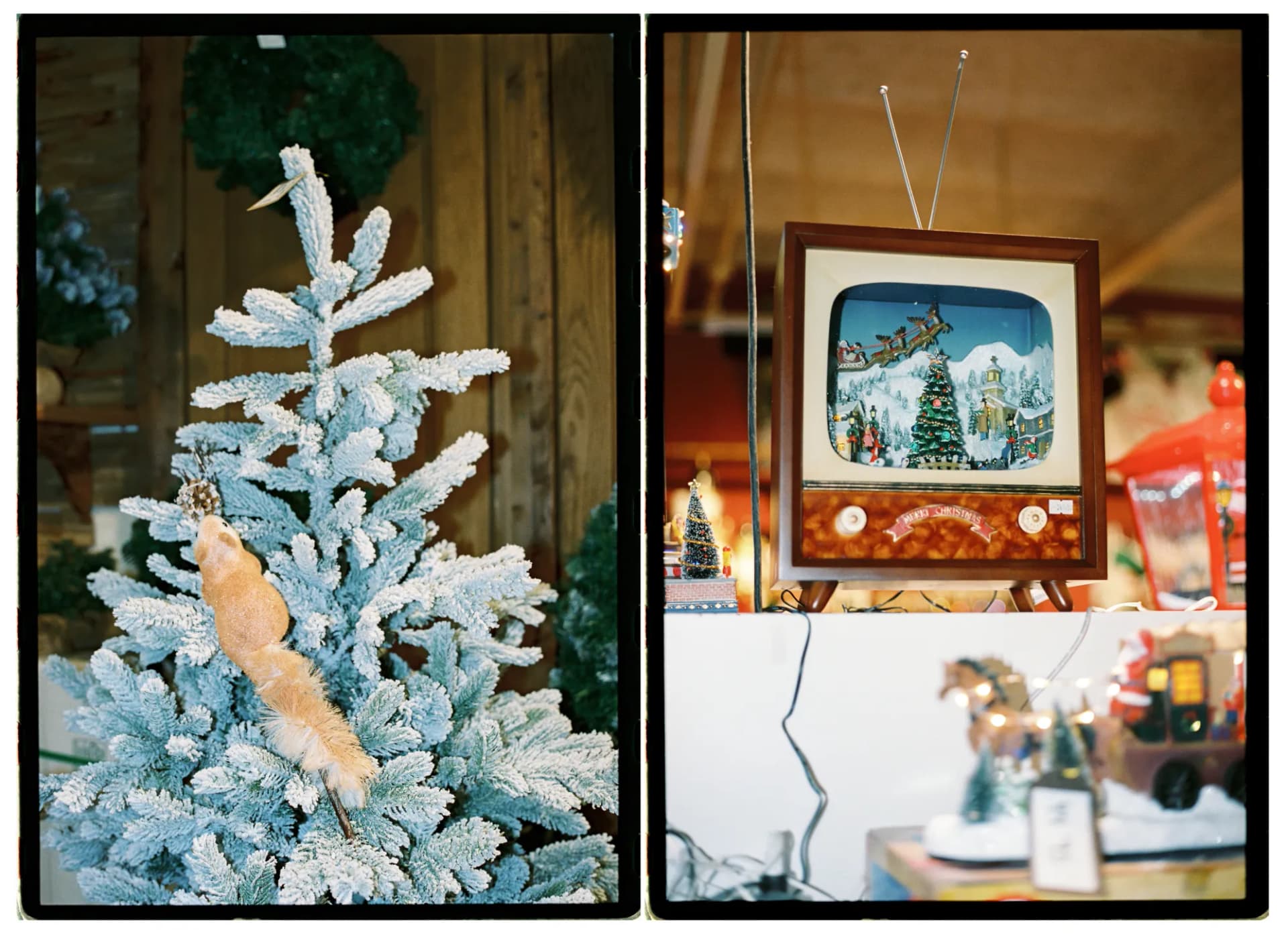 Xmas Passion tienda