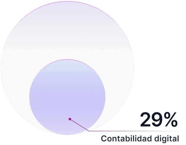 Imagen que representa al 29% de los emprendedores que han invertidoen contabilidad digital.