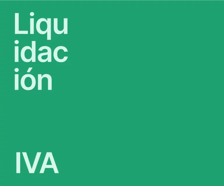 liquidacion IVA